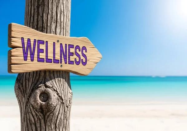 Navigating Your First Pressure Disposable Cart Experience