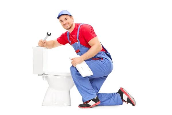 Top Reasons to Hire a Professional plumber seattle Today