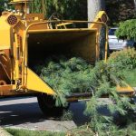 Local Tree Service Auburn Focused on Safety and Customer Satisfaction