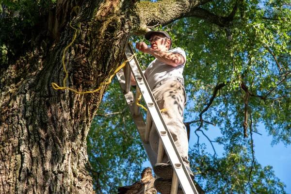 Emergency Tree Service: Fast Help After Storm Damage